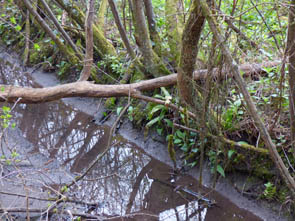 La vallée de l'Ysieux (Luzarches)